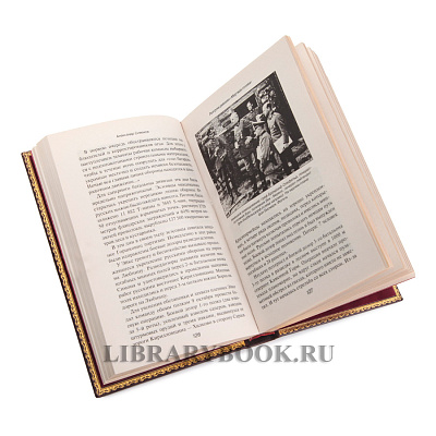 Миниатюра - 