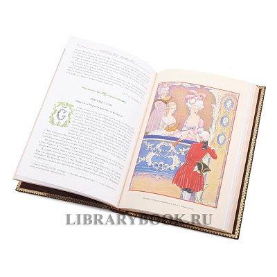 Миниатюра - 