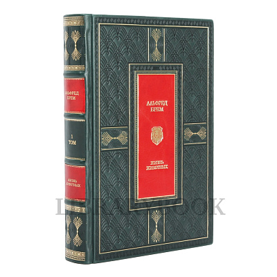 Миниатюра - 