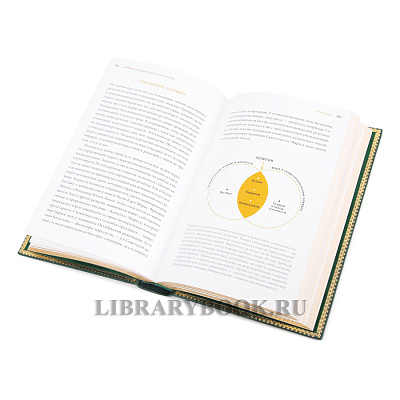 Миниатюра - 