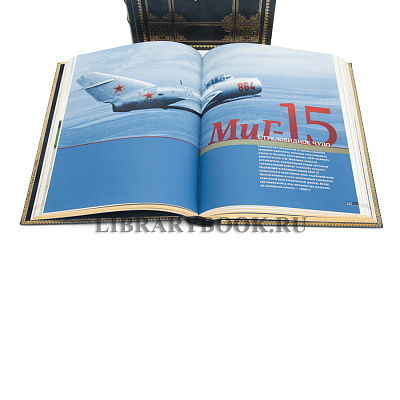 Миниатюра - 