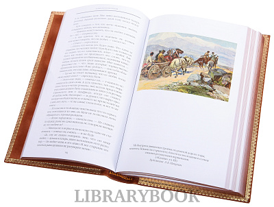 Миниатюра - 