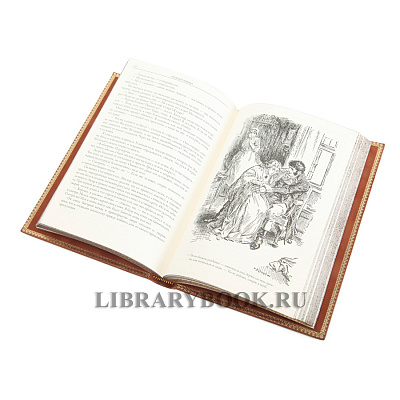 Миниатюра - 