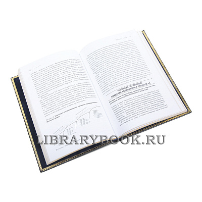 Миниатюра - 