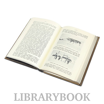 Миниатюра - 