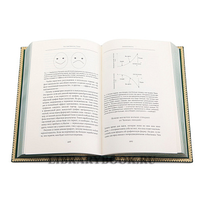 Миниатюра - 