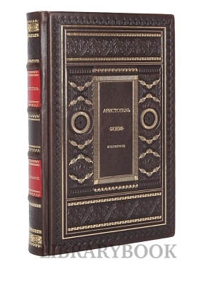 Миниатюра - 