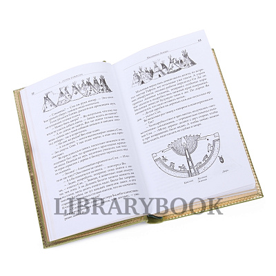 Миниатюра - 