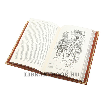 Миниатюра - 