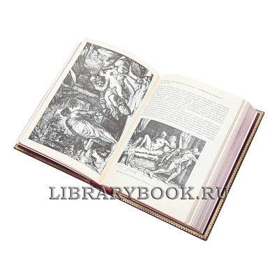 Миниатюра - 