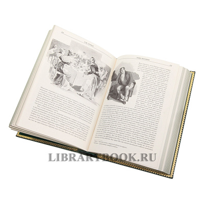 Миниатюра - 