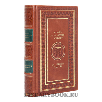 Миниатюра - 