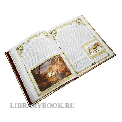 Миниатюра - 