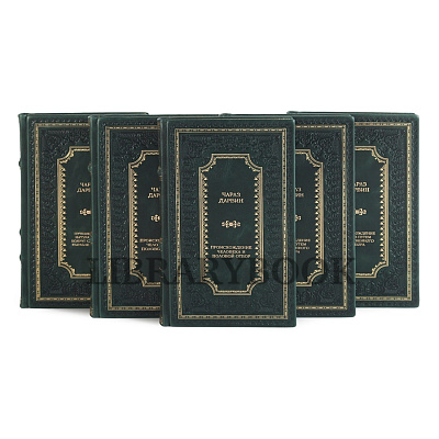 Миниатюра - 