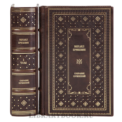 Миниатюра - 