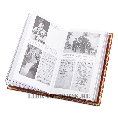 Миниатюра - 