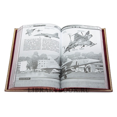 Миниатюра - 