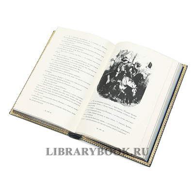 Миниатюра - 