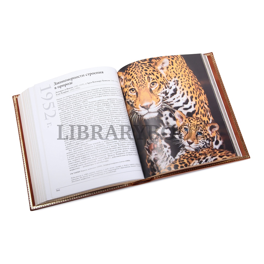 Элитное издание книги Великие науки 9 томах в кожаном переплете