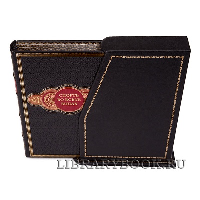 Миниатюра - 