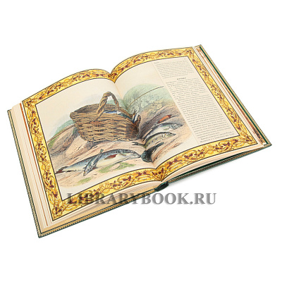 Миниатюра - 