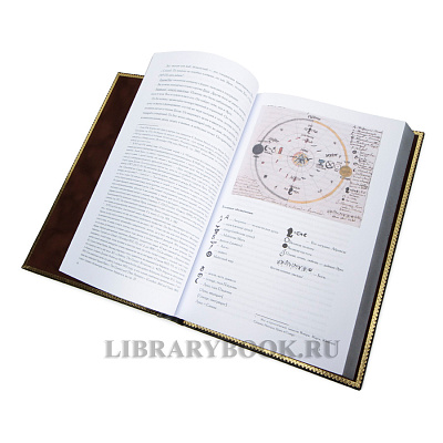 Миниатюра - 