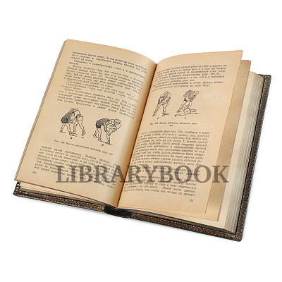 Миниатюра - 