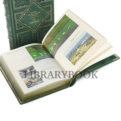 Миниатюра - 