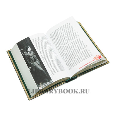 Миниатюра - 