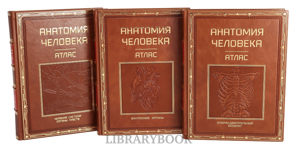 Подарочное издание книги Атлас анатомии человека в 3-х томах в кожаном переплете