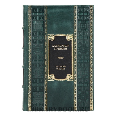 Коллекционная книга Александр Пушкин Евгений Онегин в кожаном переплете