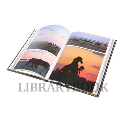 Миниатюра - 