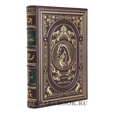 Миниатюра - 