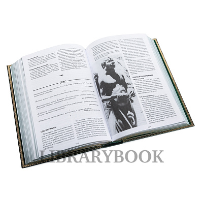 Миниатюра - 