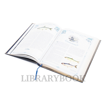 Миниатюра - 