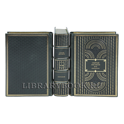 Миниатюра - 