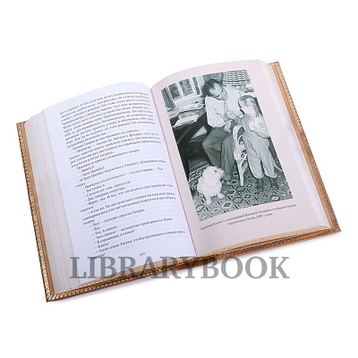 Миниатюра - 