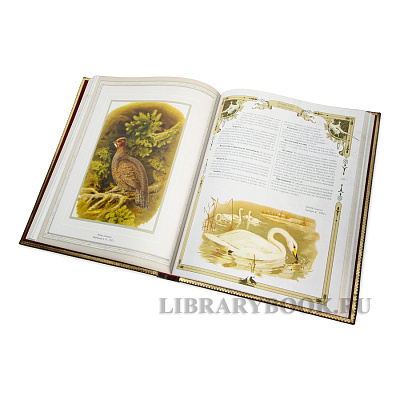 Миниатюра - 