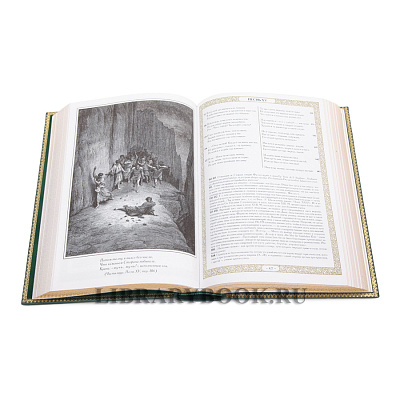 Миниатюра - 