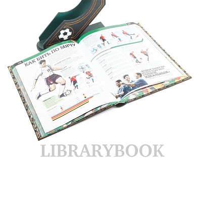 Миниатюра - 