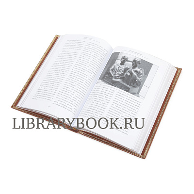 Миниатюра - 