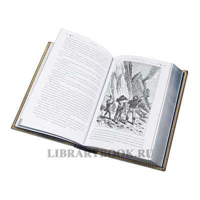 Миниатюра - 