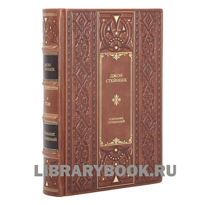 Миниатюра - 