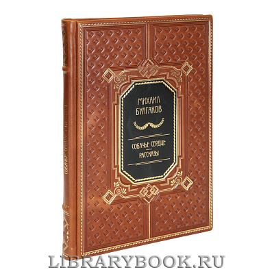 Миниатюра - 