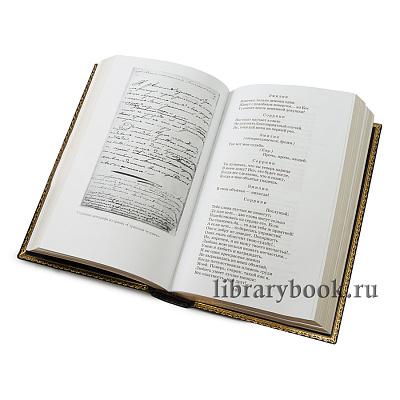 Миниатюра - 