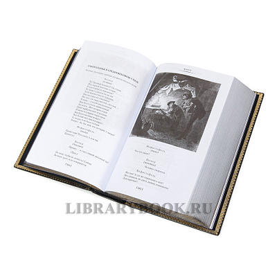 Миниатюра - 