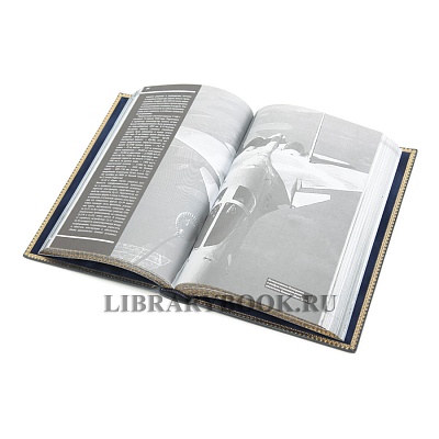 Миниатюра - 