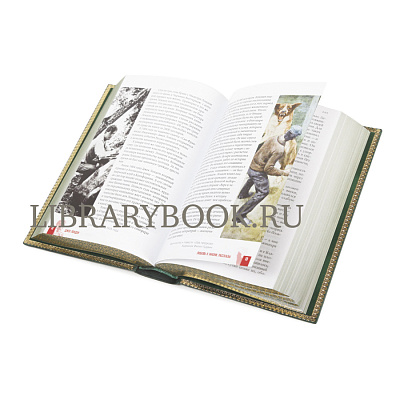 Миниатюра - 