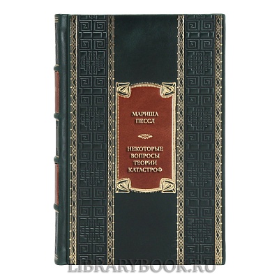 Эксклюзивная книга Мариша Пессл Некоторые вопросы теории катастроф в кожаном переплете