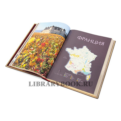 Миниатюра - 